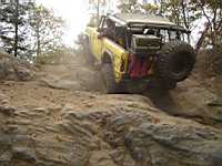 tellico1005-21.jpg